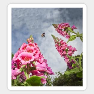 Foxgloves and Bee at Great Dixter House Sticker